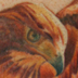 tattoo galleries/ - Red Tailed Hawk and Rainbow Trout 